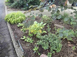 Cleanups by Kenneth Giarratano for Reid C. in Maplewood, NJ