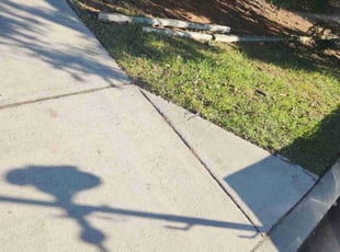 Leaf Removal by Bartolo Alvarez for Lynn M. in Laurel, MD