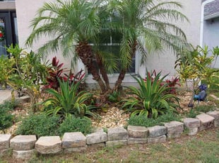 Bush Trimming by James Brown for DAVID H. in Melbourne, FL