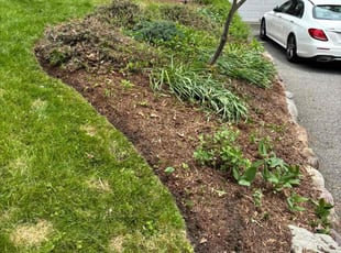 Leaf Removal by Manuel Montoya for Matt S. in Rockaway, NJ