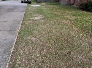 Cleanups by Brandon Johnson for Charles S. in Zachary, LA