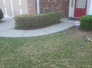 Bush Trimming by Thomas Knight for Ayobami C. in Lawrenceville, GA