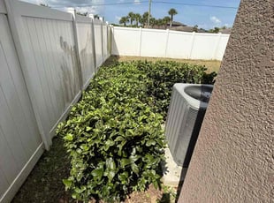 Bush Trimming by Arely Elrod for Justin H. in Ruskin, FL