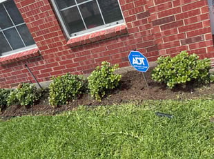 Weeding by Rosa Valencia for James L. in Little Elm, TX