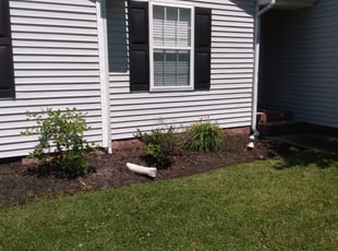 Weeding by Jeff Offenberg for Andrew M. in Fuquay-Varina, NC