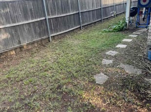 Cleanups by Jason Mince for Jules M. in Lewisville, TX