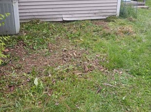 Cleanups by Jose Maltos for Stephanie S. in Cincinnati, OH