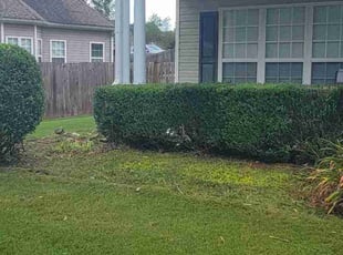 Bush Trimming by tracy garrison for Gary W. in Newnan, GA
