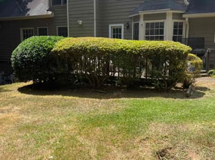 Bush Trimming by C.J. Cooley for Jeff W. in Kennesaw, GA