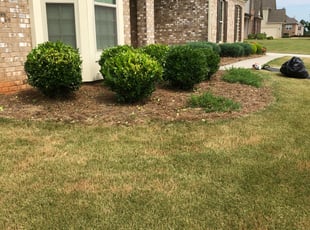 Bush Trimming by Stoy Fulcher for Latasha B. in Conyers, GA