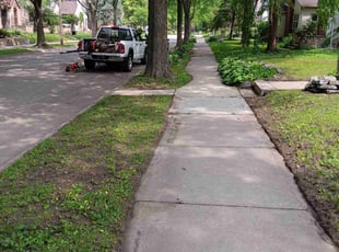 Leaf Removal by James Rogers for Sarah E. in Minneapolis, MN
