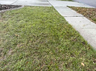 Aeration by William Chavers for Houston H. in Riverview, FL