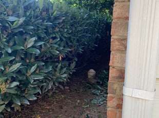Bush Trimming by Kellie Braun for Gina M. in Kennesaw, GA