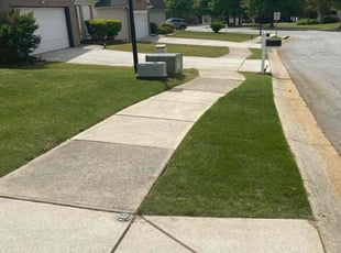 Terrell J.'s Lawn Care service result