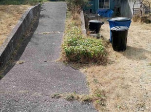 Bush Trimming by Brandon Hill for Justin S. in Vancouver, WA