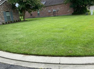 Frank T.'s Lawn Care service result