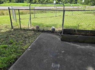 Cleanups by Anthony Brown for Lisa W. in Portsmouth, VA