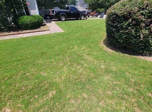 Bush Trimming by Dan Granado for Damion B. in Lawrenceville, GA