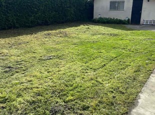 Sharon M.'s Lawn Care service result