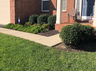 Leaf Removal by Jairo Salamanca for Charles J. in Leesburg, VA