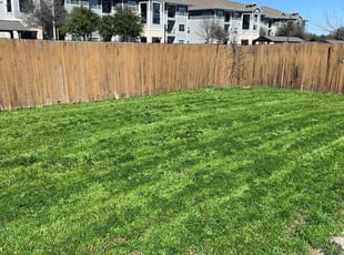 Ronald W.'s Lawn Maintenance service result