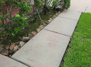 Weeding by Gladis Carcamo for Adrian A. in Richmond, TX