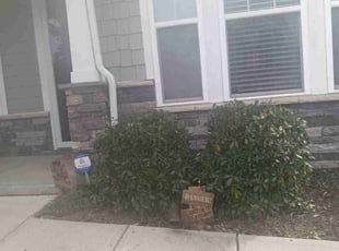 Bush Trimming by Tonya Burris for Matt W. in Mooresville, NC
