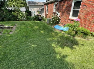 Lashonta G.'s Lawn Care service result