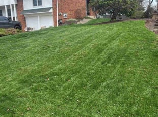 Katy M.'s Lawn Mowing service result