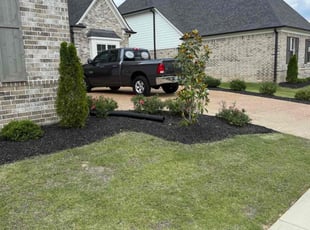 Weeding by Timothy Pearson for Charles E. in Olive Branch, MS