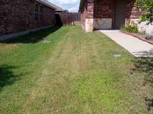 Frank G.'s Lawn Maintenance service result