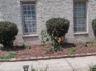 Bush Trimming by King Odeh for Heath N. in Atlanta, GA