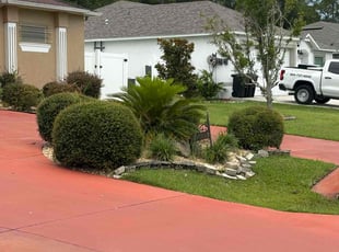 Bush Trimming by Arturo Garcia for Cynthia m. in Palm Coast, FL