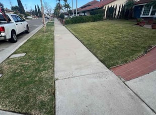 Candice O.'s Lawn Mowing service result