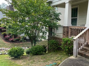 Bush Trimming by Kyle McCall for Dwayne H. in Marietta, GA