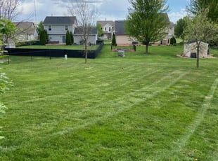 Aaron B.'s Lawn Mowing service result