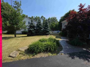 Brittany P.'s Lawn Mowing service result
