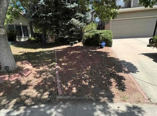 Cleanups by Jesse Nunez for Sandy B. in Aurora, CO