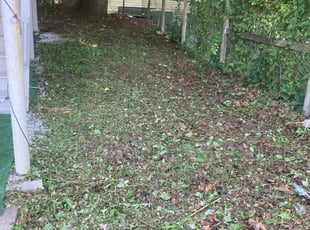 Cleanups by Kyle Roberts for Jon J. in Waterbury, CT