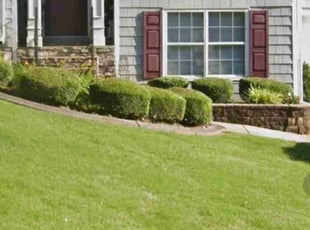 Bush Trimming by Shannon Holcombe for Henry C. in Cumming, GA