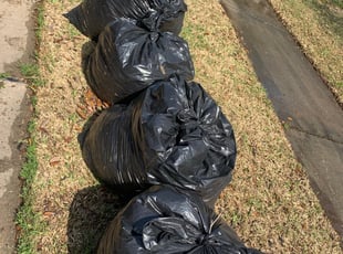 Leaf Removal by Antonio Infante for Jason U. in Friendswood, TX