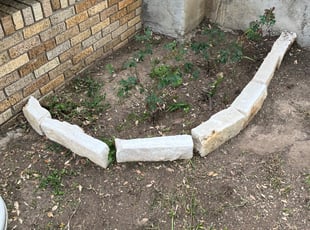 Leaf Removal by Johnny Shaw for DANA B. in Fort Worth, TX