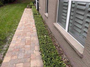 Bush Trimming by Liliana Ochoa-Pascual for Shane D. in Safety Harbor, FL