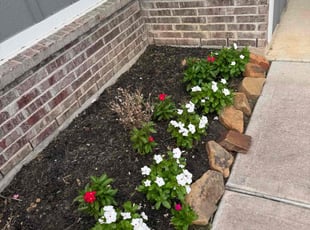 Weeding by Edwin Fernandez for Stephanie G. in Katy, TX