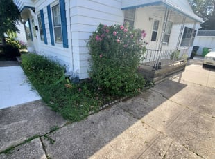 Cleanups by Tyler Stewart for Patricia N. in Willowick, OH