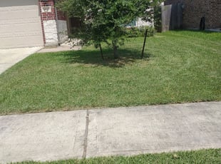 Cleanups by Joseph Meshell for Gina E. in Houston, TX