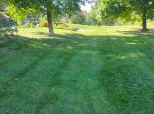 Jeff M.'s Lawn Mowing service result