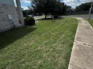 Cleanups by Spencer Reed for Elizabeth H. in Leander, TX