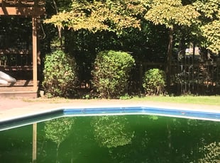 Bush Trimming by Lavell Tucker for Louis H. in Chesterfield, VA