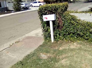 Bush Trimming by Bert Gibbs Gibbs for David A. in Patterson, CA